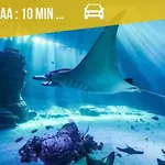 'le D'opale' Immeuble Privatif 3 - Douceur Et Serenite *